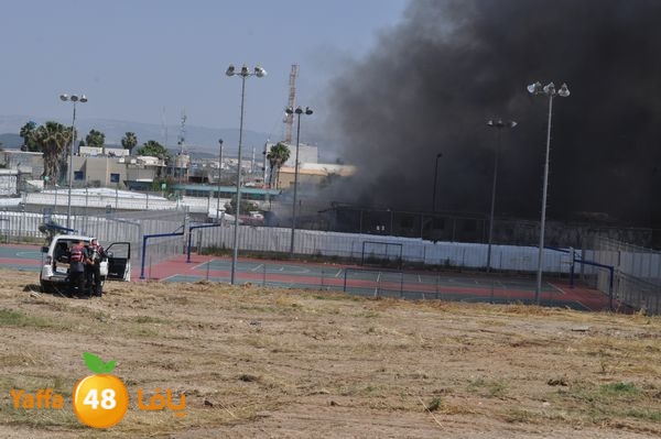 fireramlasejn4288 (25).JPG